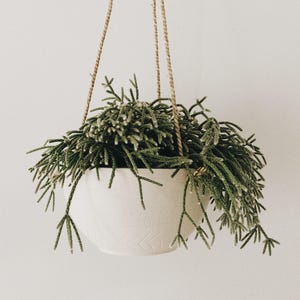 Bowl Hanging Planter — Handmade Ceramic Hanging Pot for Wall or Ceiling, Minimal Modern Wall Planter, Choose Your Color