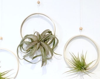 Handmade Ceramic  Round Air Plant Display Modern Airplant Holder Pottery Ring Hanging Planter Display for Air Plants Tillandsia Xerographica