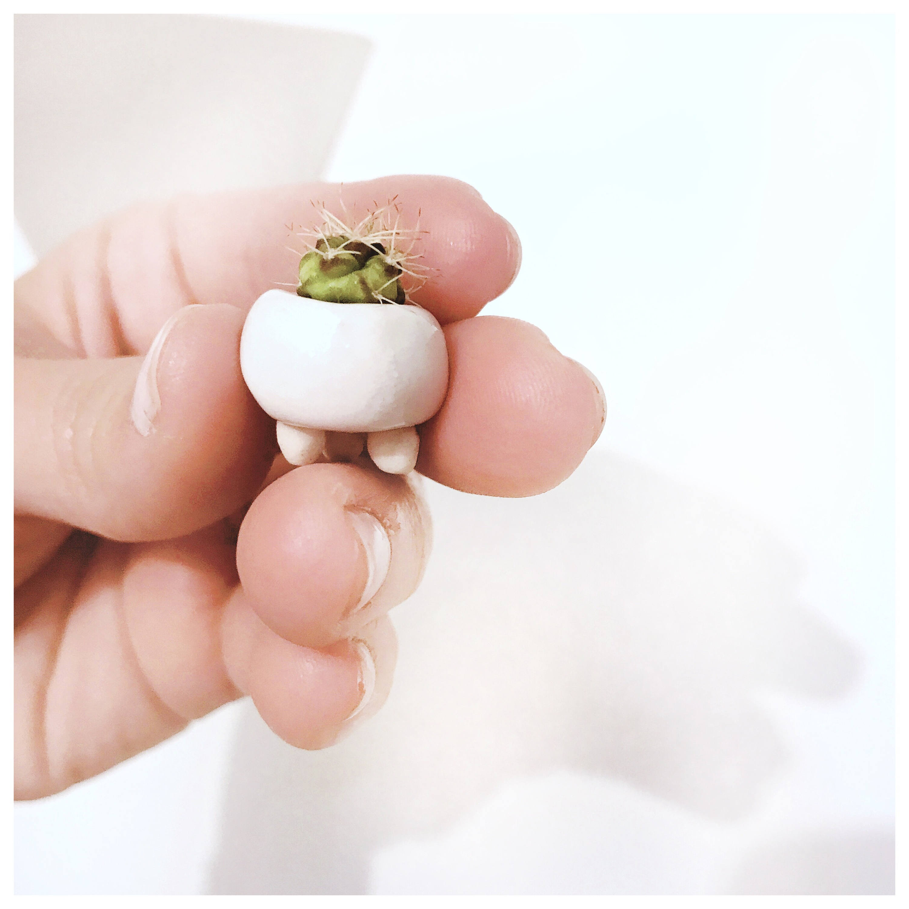 Itty Bitty Trépied Planter Micro Petit Parfait Pour Les Bébés Plantes #tinyplanter #tinycactus