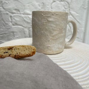 May include: A beige ceramic mug with a rough, textured surface and a matching handle, positioned next to a single, partially eaten, light brown biscotti cookie with visible dark inclusions, resting on a grey fabric cloth.