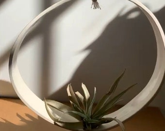 Airplant Ring Cradle Sling Hanging Planter Display for Air Plant MADE TO ORDER #airplantring #airplantdisplay