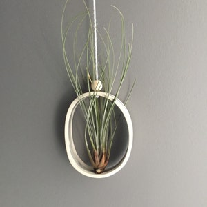 Modern Hanging Ceramic Air Plant Planter Stylish Air Plant Cradle Gift for Airplant Wall Planter for Airplants