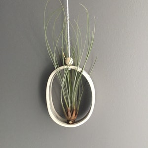 Air plant Cradle Planter Planter for Air Plants Modern Air Plant Holder Air Plant Display Ceramic Air Plant Hanging Planter Airplant Gift image 1