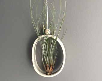 Air plant Cradle Planter Planter for Air Plants Modern Air Plant Holder Air Plant Display Ceramic Air Plant Hanging Planter Airplant Gift