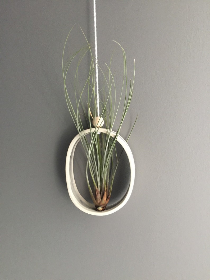 Air plant Cradle Planter Planter for Air Plants Modern Air Plant Holder Air Plant Display Ceramic Air Plant Hanging Planter Airplant Gift image 1