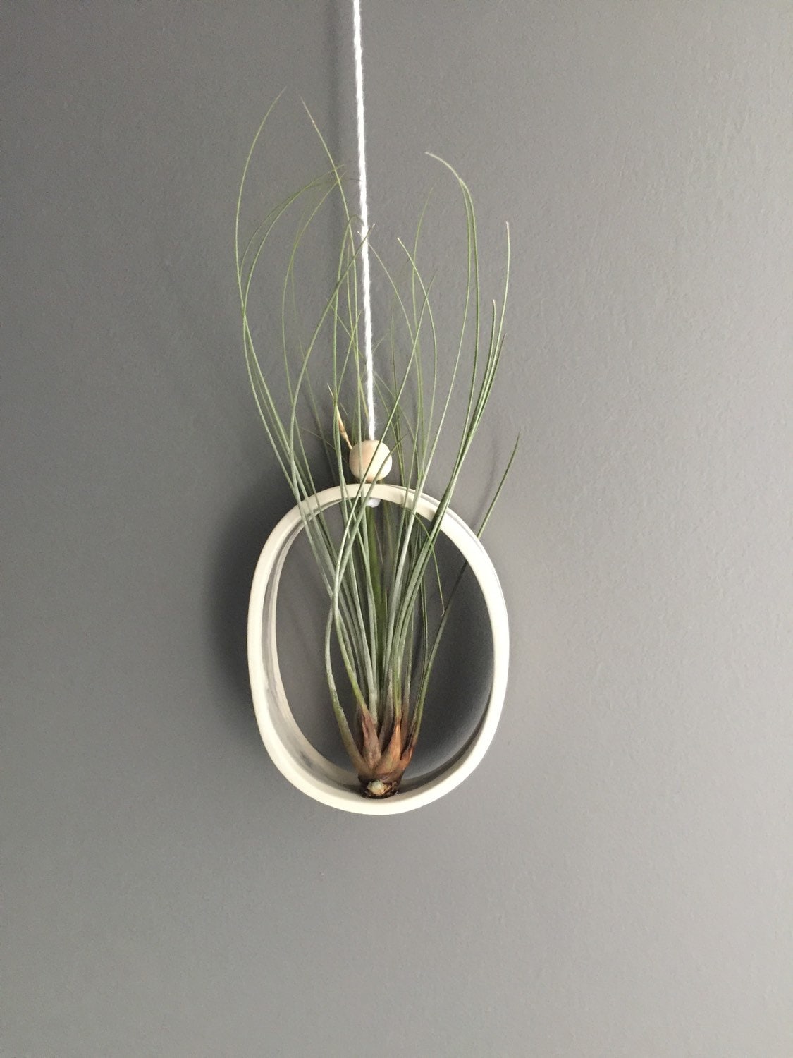 Jardinière Suspendue à L'élingue de Berceau Ovale ou Ronde Moyenne