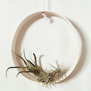 Air Plant Holder Modern Wall Hanging Air Plant Display Minimalist Planter Plant Lover Gift Planter Modern Boho Decor Indoor Plants Airplant