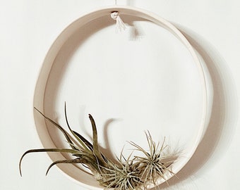 Extra Large Air Plant Holder, Xerographica Planter, Air Plant Display, Air Plant Home, Air Plant Planter, Customizable Air Plant Display