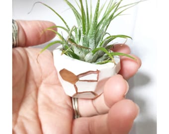 Geo Tiny Planter Petite Small Perfect Air Plants or Baby Plants Pot Container MADE TO ORDER