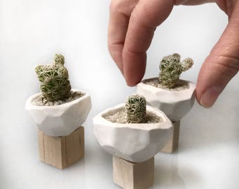 Faceted Tiny Planter Petite Small Perfect Air Plants or Baby Plants Container MADE TO ORDER