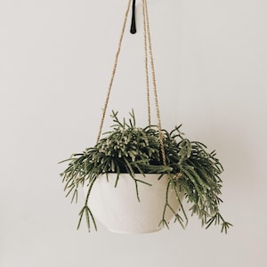 Bowl Hanging Planter — Handmade Ceramic Hanging Pot for Wall or Ceiling, Minimal Modern Wall Planter, Choose Your Color