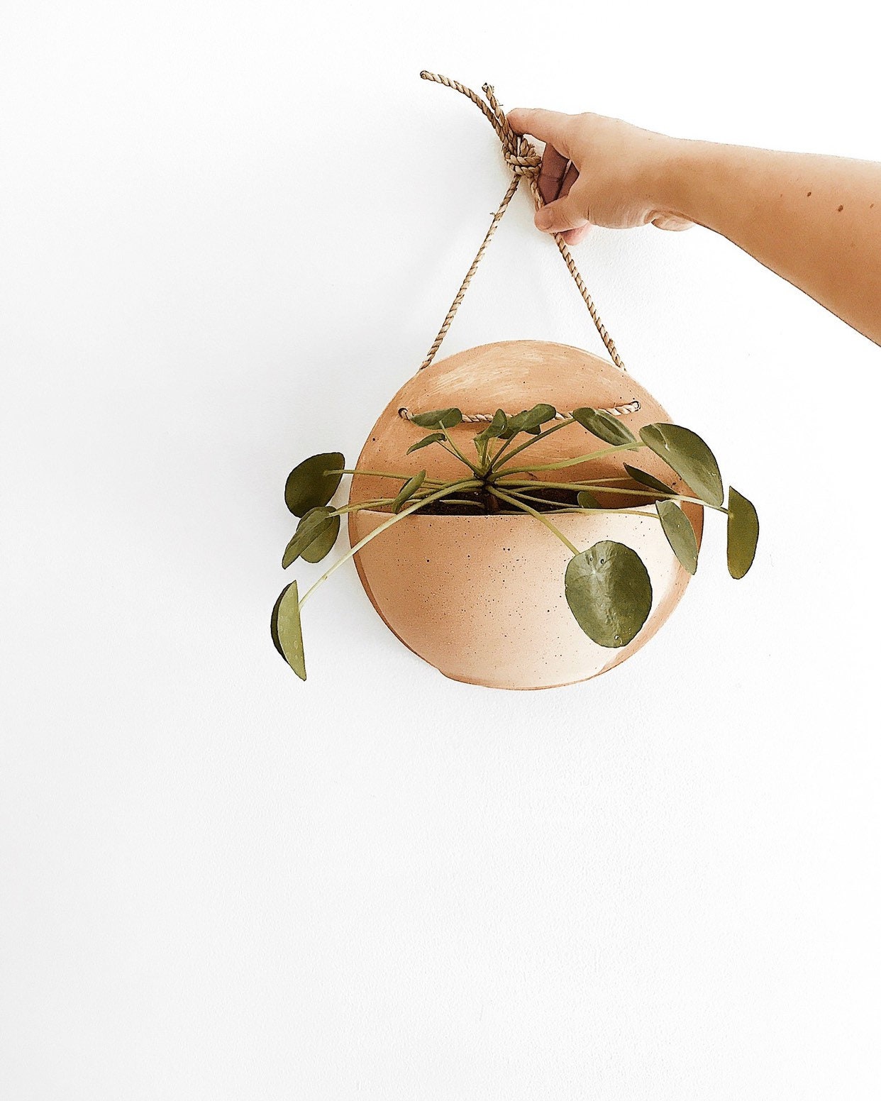 Wall Pocket Hanging Planter