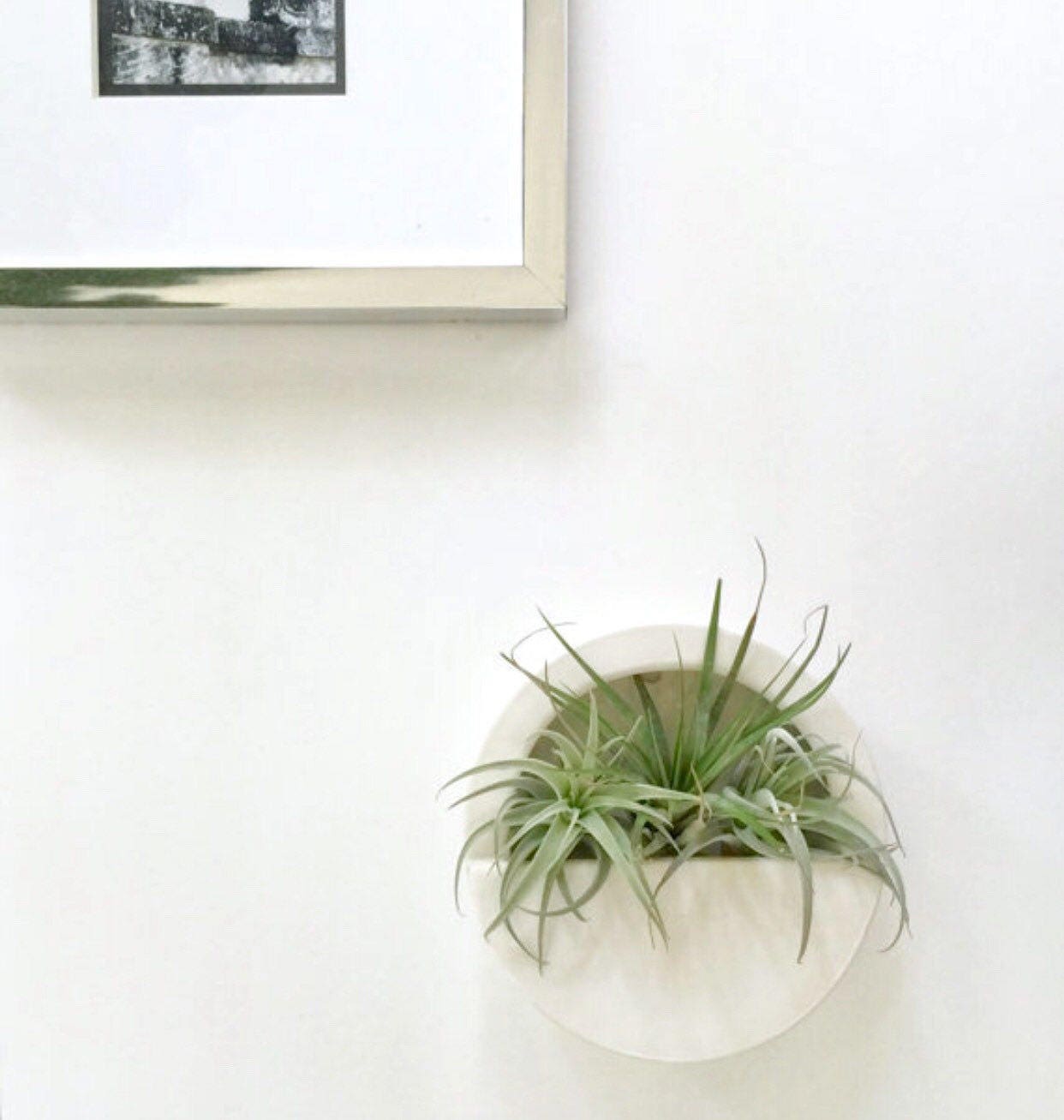 Round Capsule Wall Hanging Planter Vertical Garden Modern Etsy