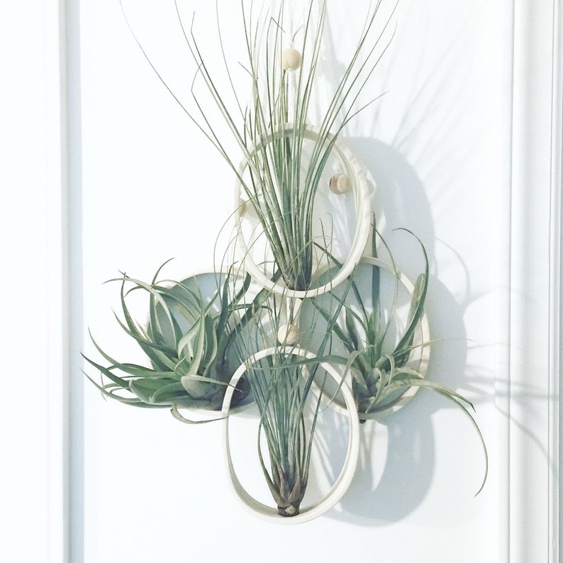 Air plant Cradle Planter Planter for Air Plants Modern Air Plant Holder Air Plant Display Ceramic Air Plant Hanging Planter Airplant Gift image 2