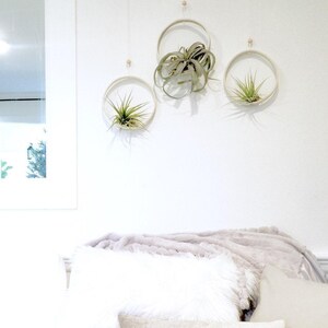 Sculptural Planter — Handmade Porcelain Wall Ring for Air Plants, Hanging Tillandsia Sling in Ten Hand Painted Colors Bild 2
