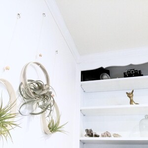 Sculptural Planter — Handmade Porcelain Wall Ring for Air Plants, Hanging Tillandsia Sling in Ten Hand Painted Colors Bild 3