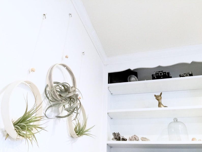 Sculptural Planter — Handmade Porcelain Wall Ring for Air Plants, Hanging Tillandsia Sling in Ten Hand Painted Colors Bild 3