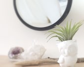 Owl Planter White Planter for Air Plant Succulent or Cactus MADE TO ORDER