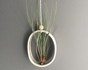 Air Plant Hanger — Handmade Ceramic Wall Cradle for Tillandsia, Stylish Hanging Airplant Holder and Plant Lover Gift