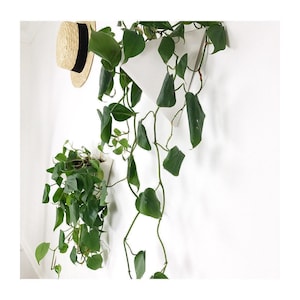 Geometric Wall Planter — Handmade Space Saving Plant Holder, Modern Triangle Hanging Plant Container for Minimal Decor