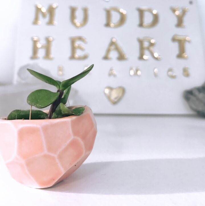 Petite Pot Jardinière à Facettes Petite Conteneur #microplanter