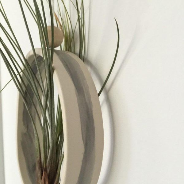 Airplant Cradle  M