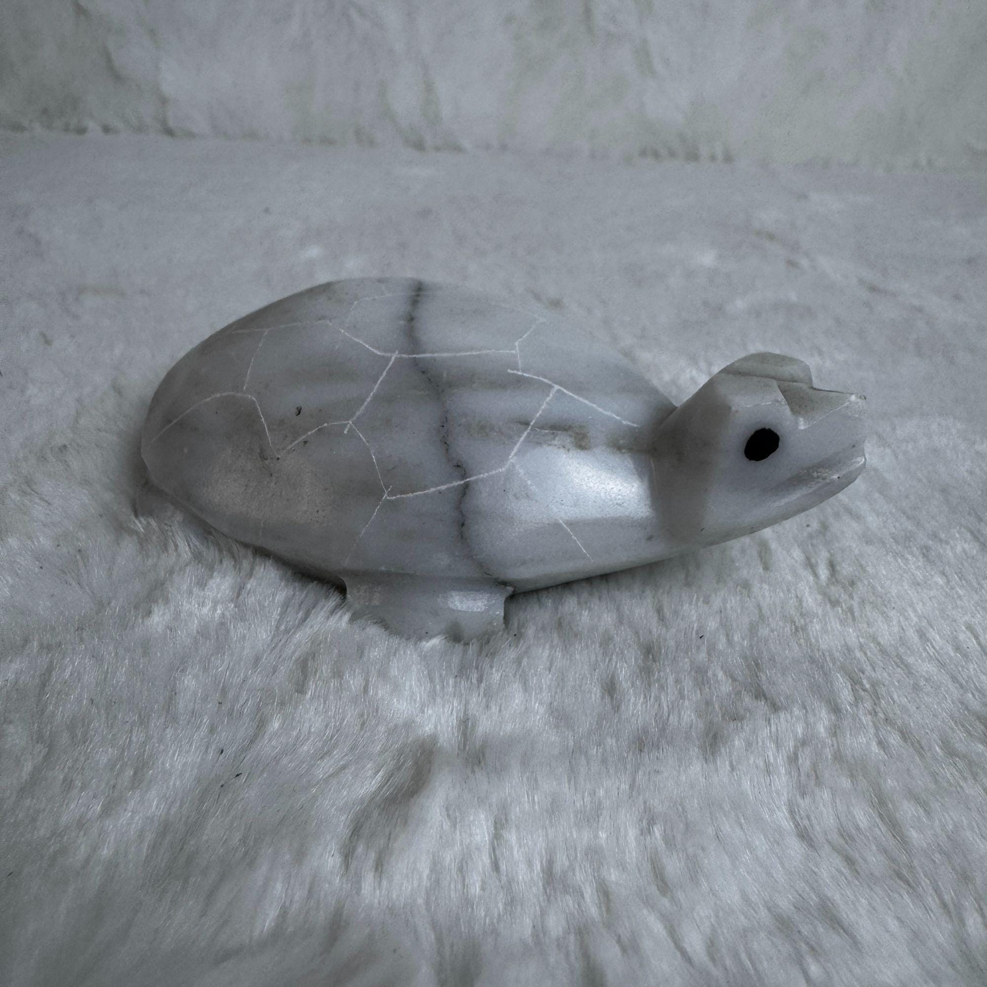 Mexican Onyx Turtle - Etsy
