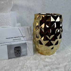 May include: A gold-colored pineapple planter with a geometric design. The planter has a textured surface and a cylindrical shape. The text "PALM CHIC PINEAPPLE PLANTER" and "INSTRUCTIONS" is visible on a white paper.