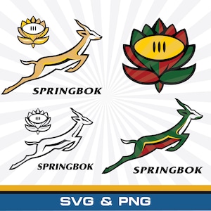 Op de afbeelding: Een digitale grafische set met vier variaties van een springende springbok-antilope en een gestileerd bloempictogram. De ontwerpen bevatten gouden, groene, rode en zwarte kleurenschema's met de tekst SPRINGBOK en SVG & PNG.