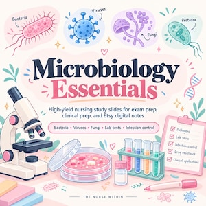 Puede incluir: Una guía de estudio digital titulada Microbiology Essentials con ilustraciones de microscopio, placa de Petri, tubos de ensayo y portapapeles. El texto incluye Bacteria, Viruses, Fungi, Protozoa, Lab tests e Infection control.
