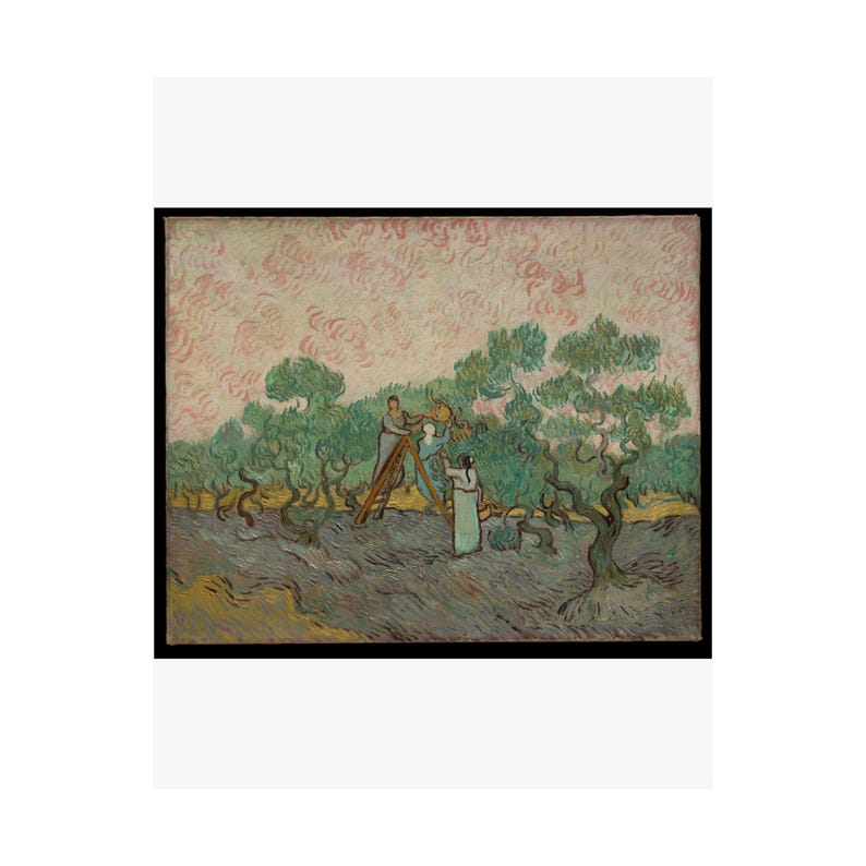 Women Picking Olives by Vincent van Gogh - Fine Art Poster image 2