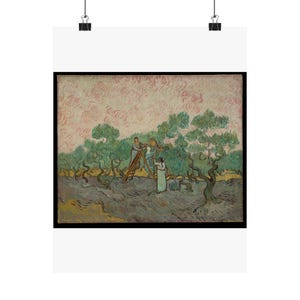Women Picking Olives by Vincent van Gogh - Fine Art Poster image 1