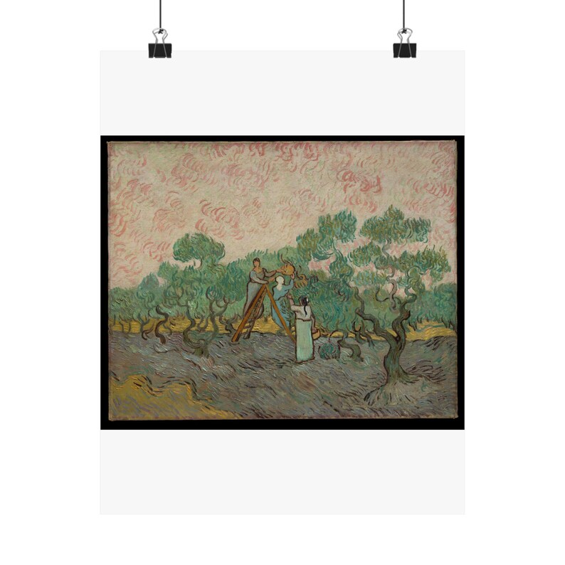 Women Picking Olives by Vincent van Gogh - Fine Art Poster image 1