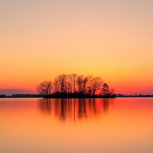 Op de afbeelding: Een klein eiland met een groep kale bomen ligt in het midden van een kalm meer tijdens een levendige zonsondergang. De lucht verloopt van diep oranje naar zachtroze en werpt een heldere, symmetrische reflectie van de bomen op het water.