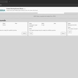 Product Naming Decision Matrix screenshot 8