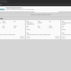 Product Naming Decision Matrix screenshot 6