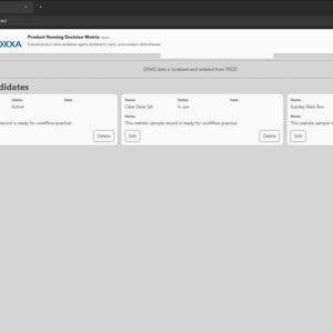 Product Naming Decision Matrix screenshot 3
