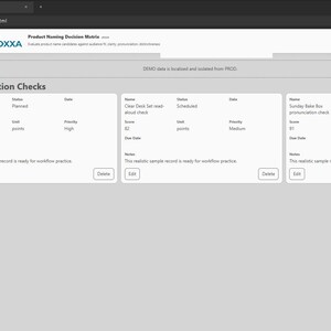 Product Naming Decision Matrix screenshot 7