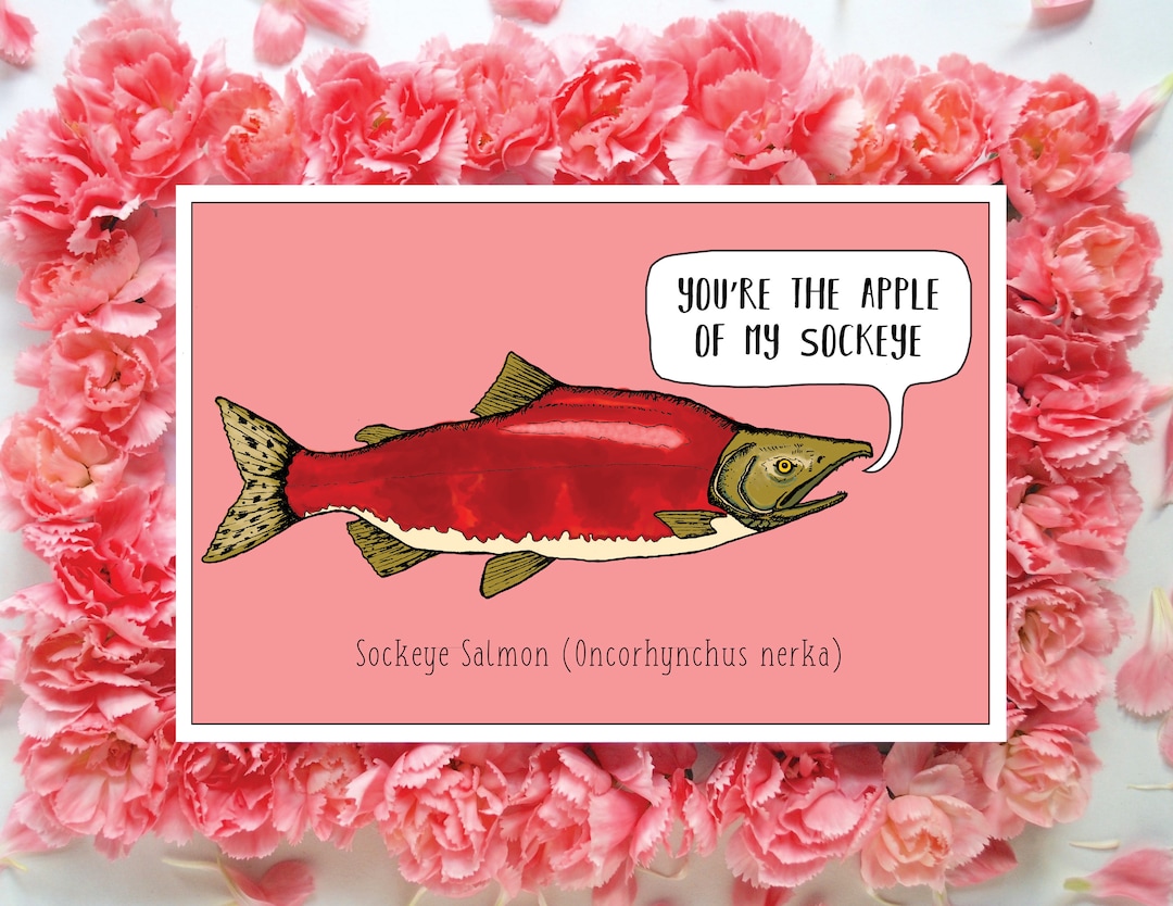 Sockeye Salmon Valentine Sockeye Pun Valentine Salmon Pun Etsy