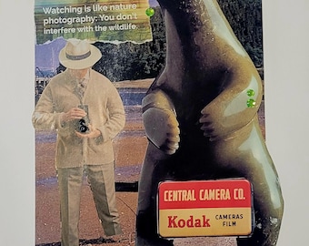 Kodak