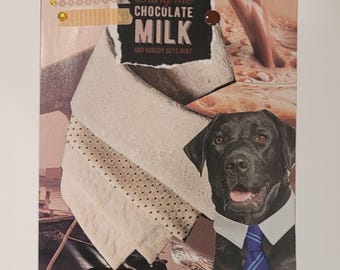 Może przedstawiać: Prostokątna kartka kolażowa przedstawiająca czarnego labradora w białym kołnierzyku i niebieskim krawacie w paski. Tekst brzmi Bring me CHOCOLATE MILK AND NOBODY GETS HURT. Projekt zawiera brązowy skórzany pasek ze złotą klamrą u dołu.