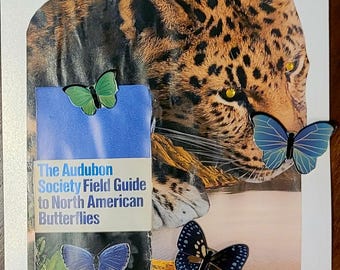 Audubon