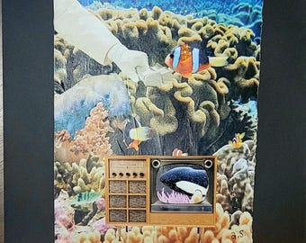 Televisión bajo el mar
