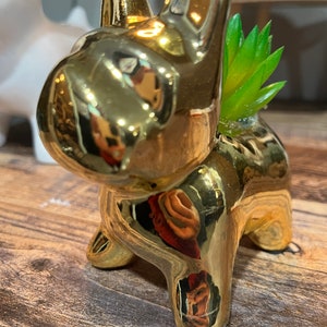 Statua dorata in vaso di finta pianta succulenta Boston Terrier francese
