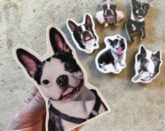 Dog pet cat photo handmade custom order wood refrigerator magnet kitchen decor personalized gift