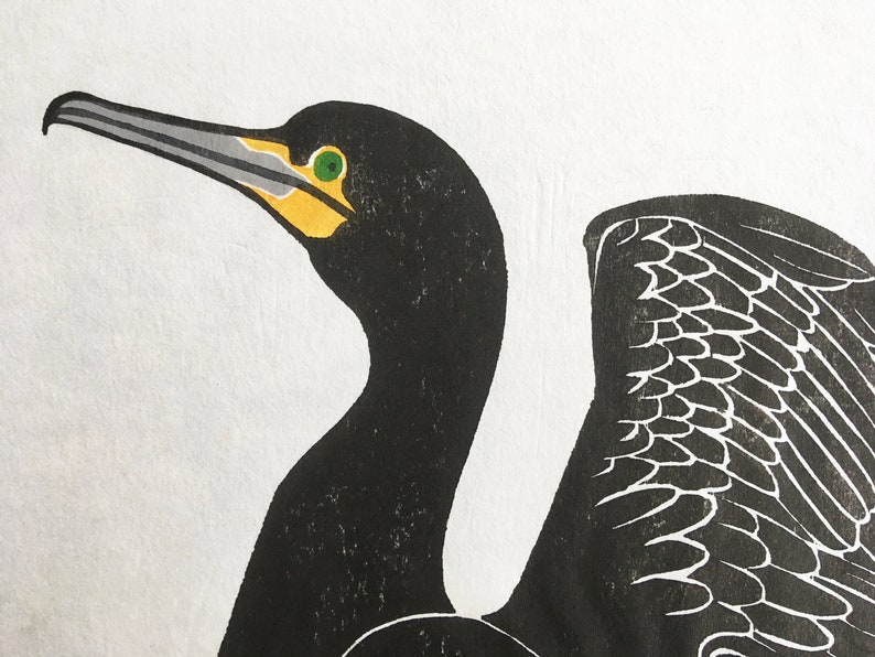 woodcut print Cormorant