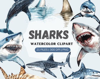 Watercolor shark clipart, sharks png, watercolor shark images, underwater images, sealife, instant download, commercial use, shark scrapbook
