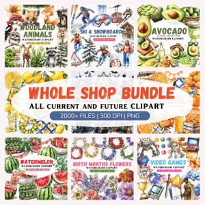 Whole Shop Watercolor Clipart Bundle - Lifetime Access - Instant download - Commercial use - whole shop png bundle - Large clipart bundle