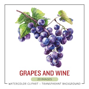 Grapes and Wine Clipart Bundle, red and white wine PNG for instant download commercial use - Wine barrel, Wine glass png, Commercial Clipart