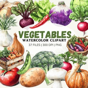 clipart de légumes, légume png, aliments sains, clipart de nourriture végétalienne, nourriture végétarienne png clipart aquarelle, légumes aquarelles, légumes